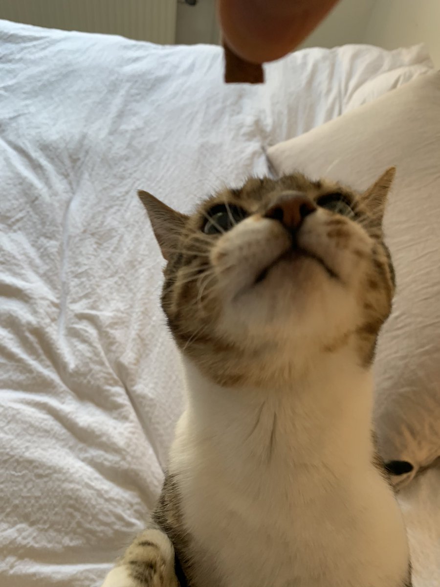 kaptenynkrygg's tweet photo. 100 likes så får hon godisen https://t.co/qzRmN7Sfl6