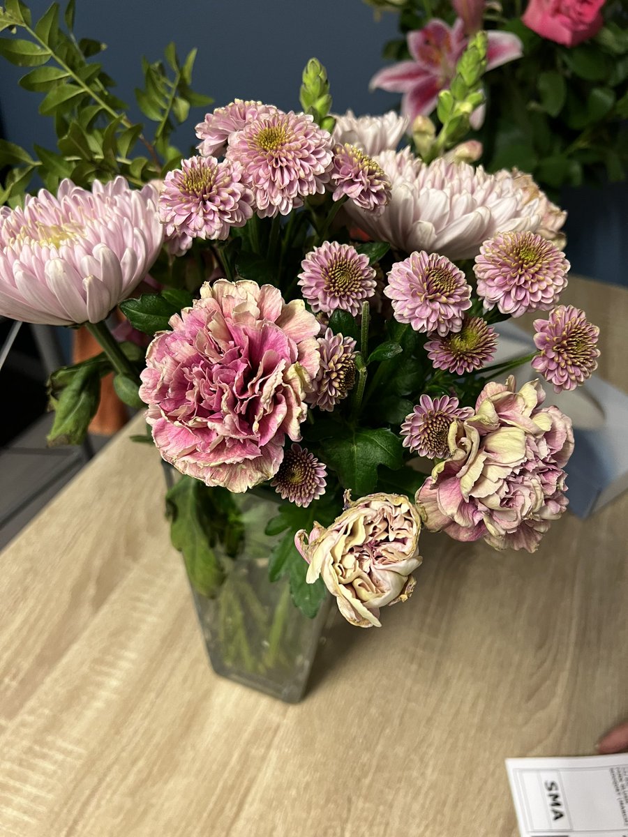 pinkbabi's tweet photo. So these are the flowers #scs sent my mum for saying sorry for their foul language in front of her, dead flowers sent from @marksandspencer https://t.co/rLKdqz1KON