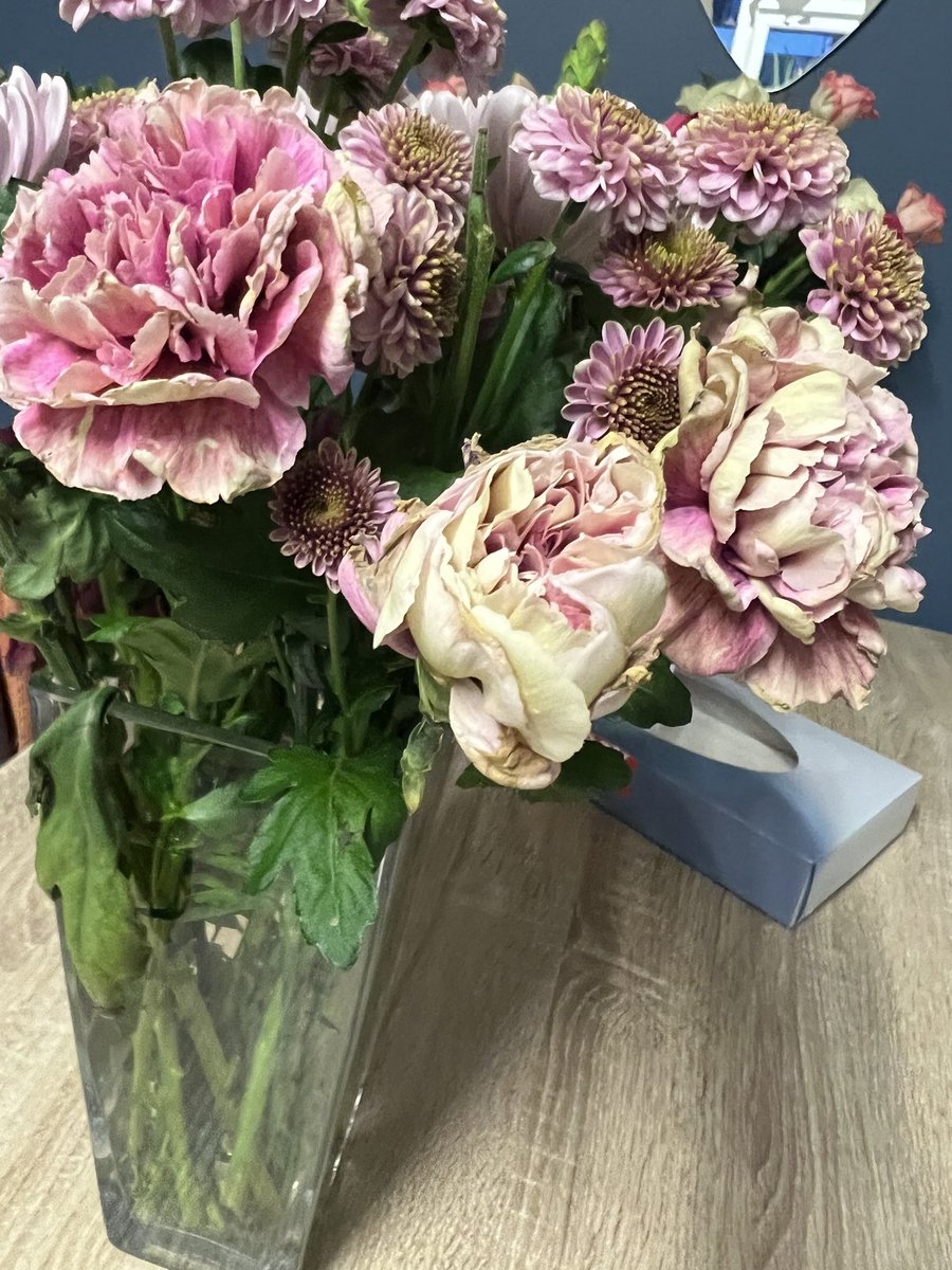 pinkbabi's tweet photo. So these are the flowers #scs sent my mum for saying sorry for their foul language in front of her, dead flowers sent from @marksandspencer https://t.co/rLKdqz1KON
