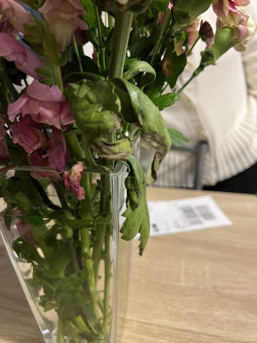 pinkbabi's tweet photo. So these are the flowers #scs sent my mum for saying sorry for their foul language in front of her, dead flowers sent from @marksandspencer https://t.co/rLKdqz1KON