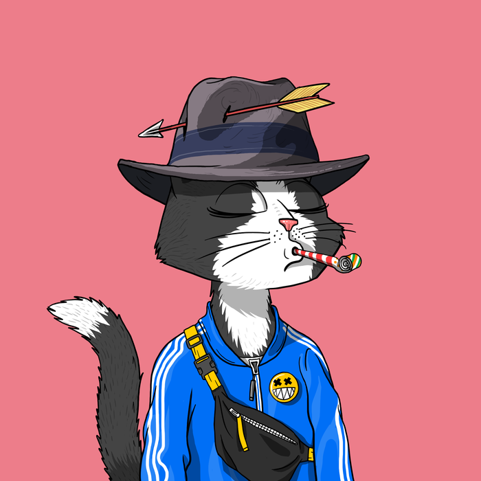 veryfurryneko's tweet photo. Picked up my first @MarsCatsVoyage 
He looks so chill https://t.co/TEKKpyjjJn