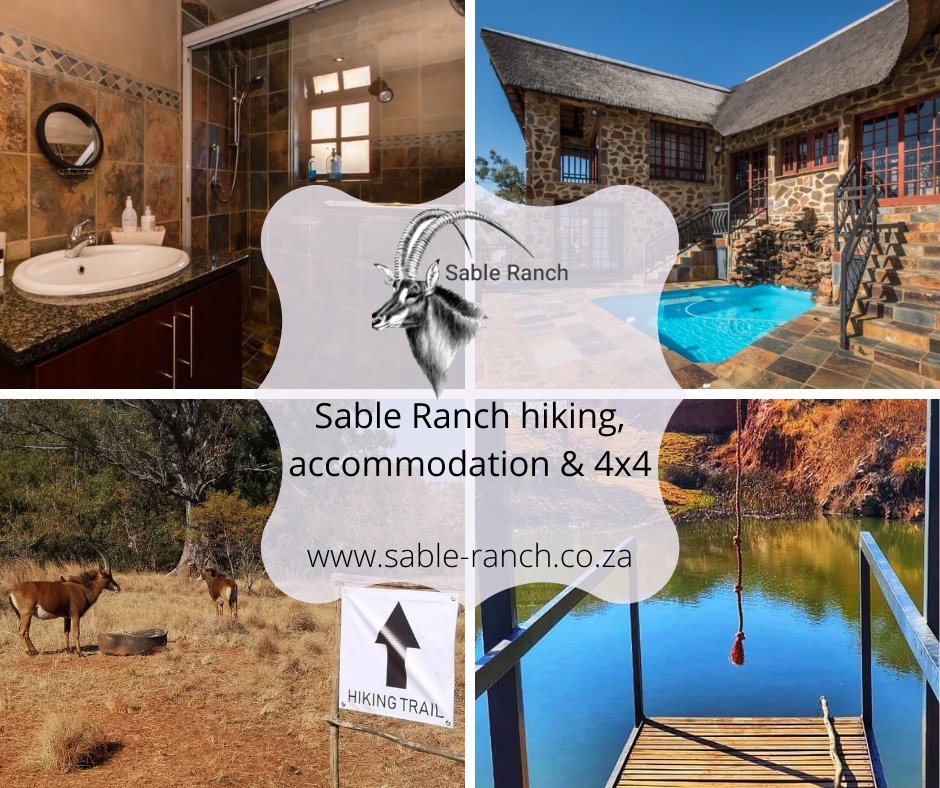 4 Travel Auctions Closing Tonight plus last special offer 👓 - mailchi.mp/830c46a99cac/t…