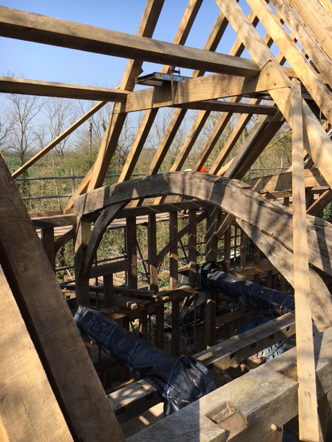 OBeeCIC's tweet photo. Hand converted cranked tie beams in place. Underneath we have two repaired original cross ties. Until we close the reinstated Long House in, we need to keep them dry - hence the black plastic #hewing #traditionalskills #suffolk #timberframe first built in 1580 #volunteerproject https://t.co/n6jYfwtmmv