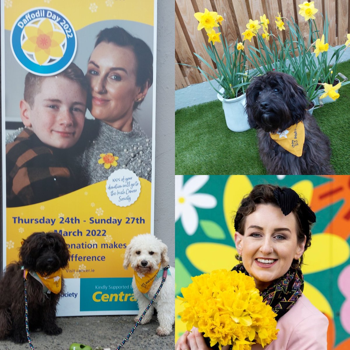 clairehendrick's tweet photo. Today is #DaffodilDay the day we #takeback Please donate whatever you can as I've witnessed firsthand the amazing work @IrishCancerSoc do and the support they have given to my best friend @DonnaCullen85 💛 https://t.co/KcwRAHCGl0