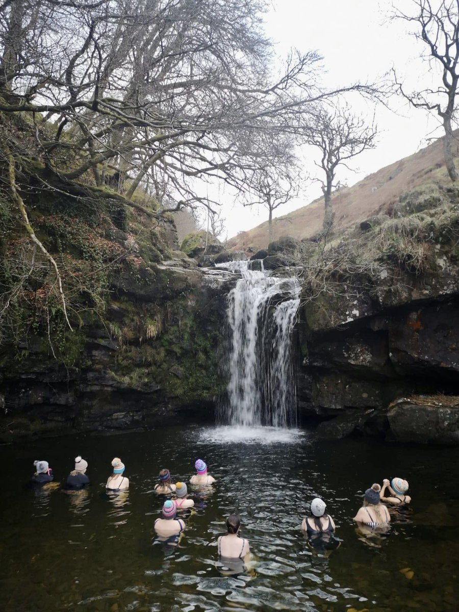 Jami Gelder tweet media