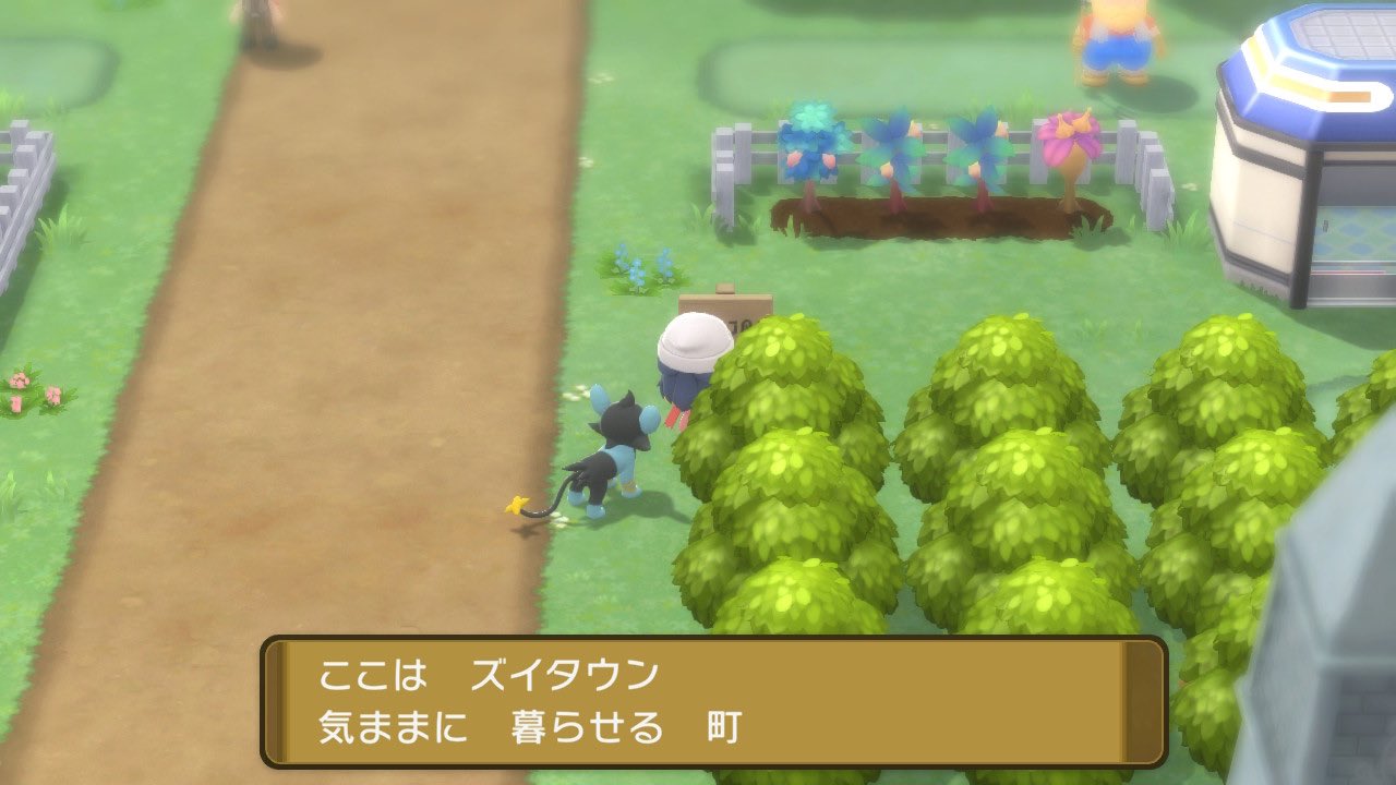 ハルト ゲーム垢 出た ダイパ廃人御用のズイタウン このズイタウンには廃人達が通うポケモンの預かり屋があります ポケモン を預かり屋で預けているとタマゴグループが同じポケモン同士かつ異性同士ならタマゴが出来るのです タマゴを孵らせるには歩数を