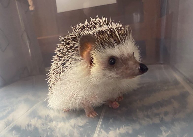 O8r Pqr6kjzlom O8r Pqr6kjzlom