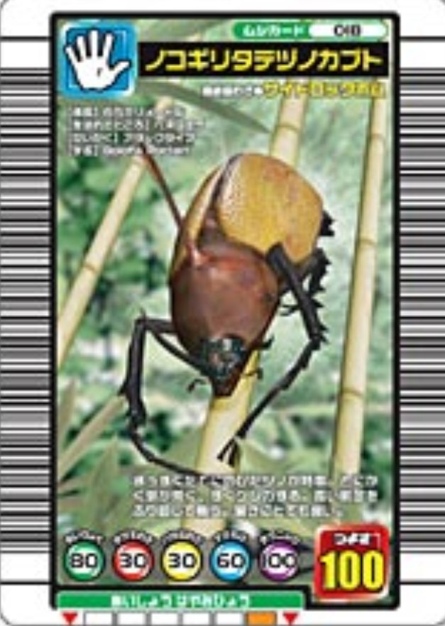 ムシキング 子供の頃ノコギリタテヅノカブトを手に入れて説明を見て手