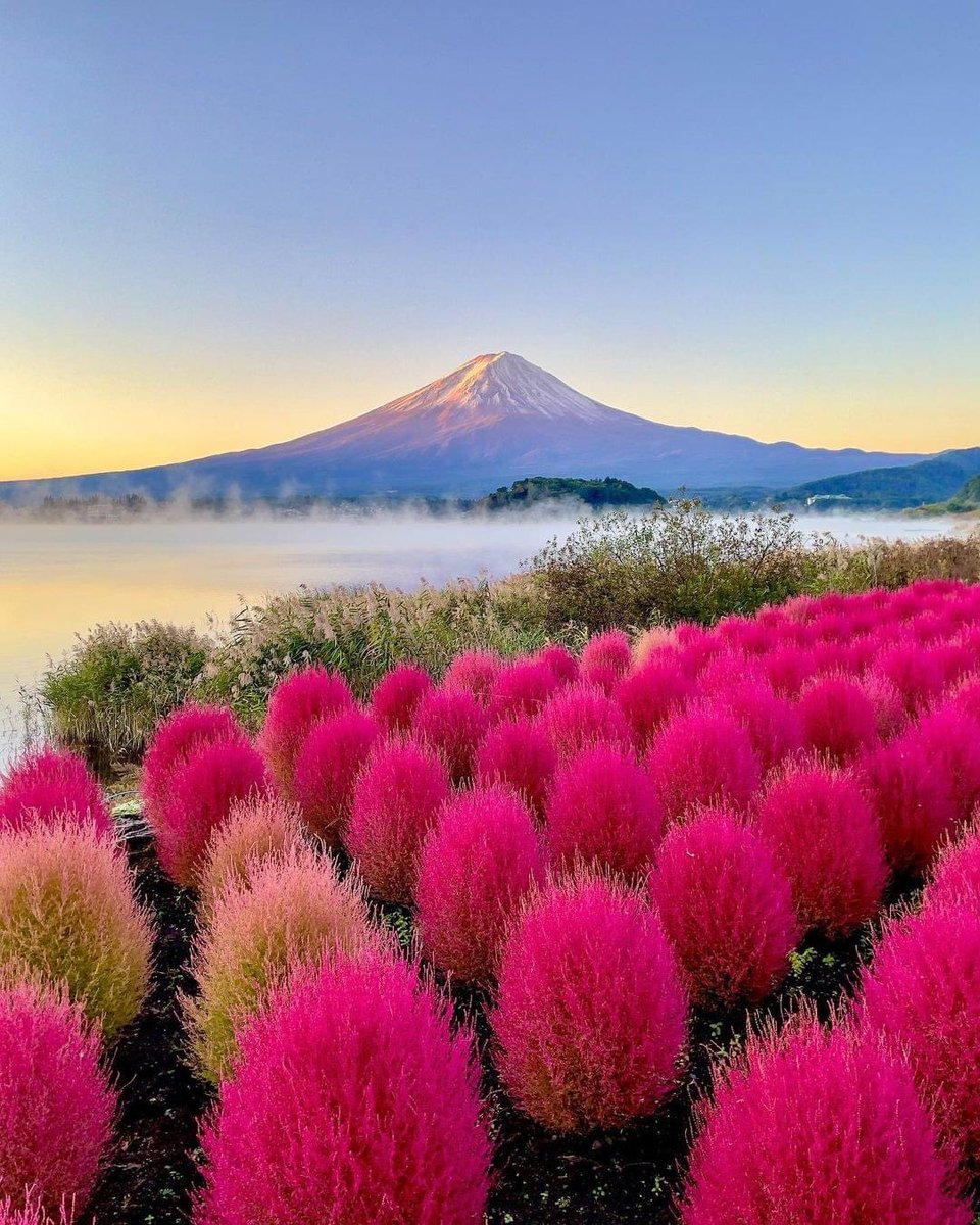 TravelGether's tweet photo. Le #montfuji  #voyage #world #mondemerveilleux https://t.co/Pz1limgrvX