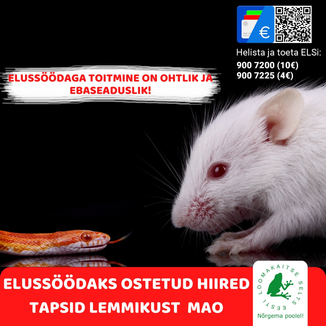😟 ELUSSÖÖDAKS OSTETUD HIIRED TAPSID LEMMIKLOOMANA PEETAVA MAO 😟
Maole toiduks ostetud hiired otsustasid oma elu eest võidelda ja tapsid oma vaenlase. 
Loe rohkem: facebook.com/eestiloomakait…
