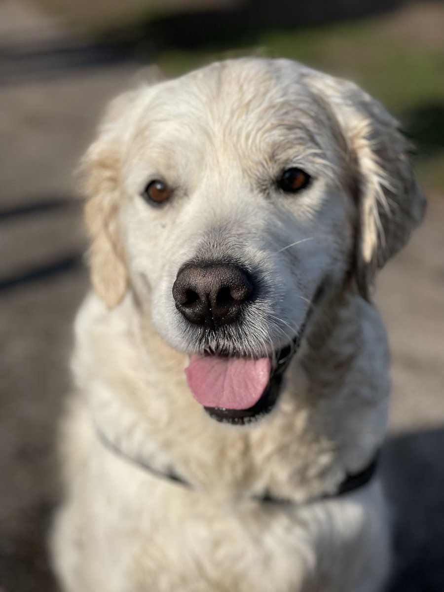 Yuki, 🦴afide tweet media