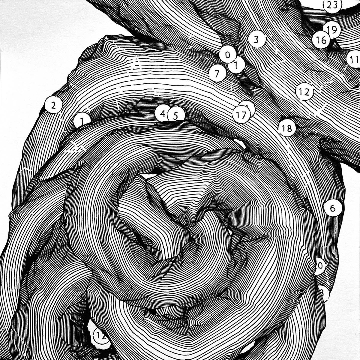 Andrey Berger tweet media