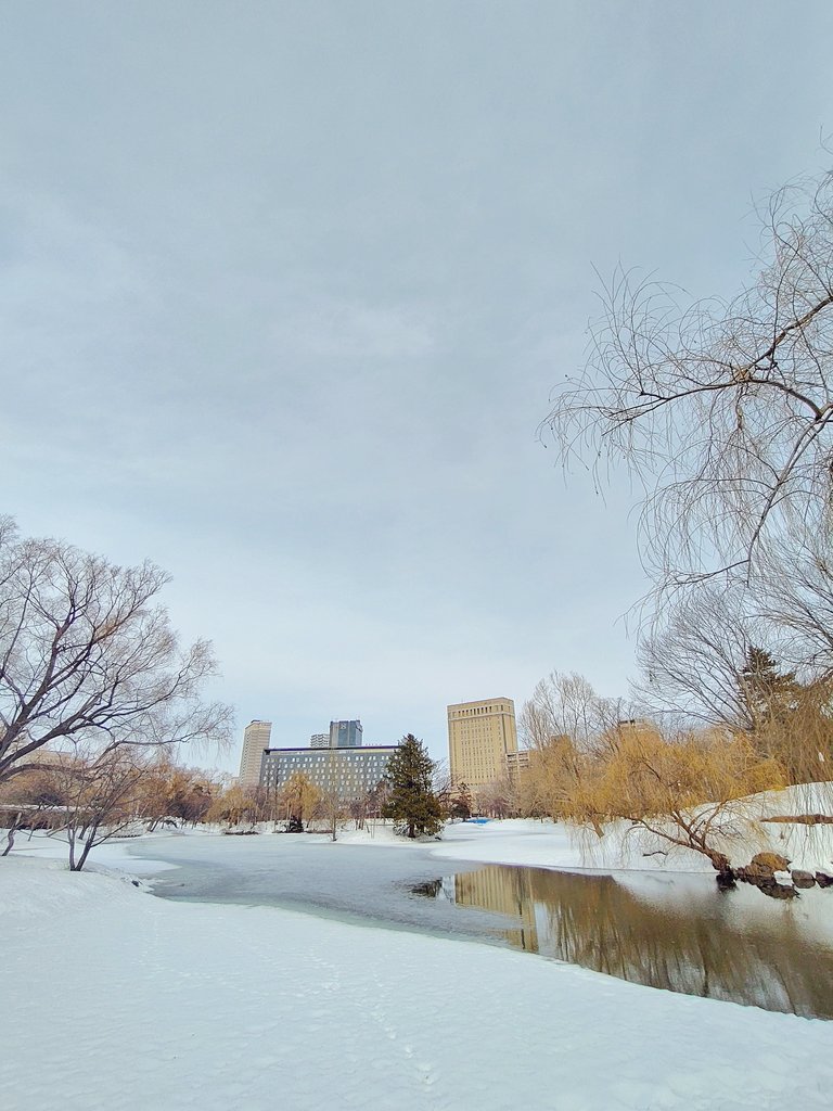 Scbh5id7efwyrm Scbh5id7efwyrm