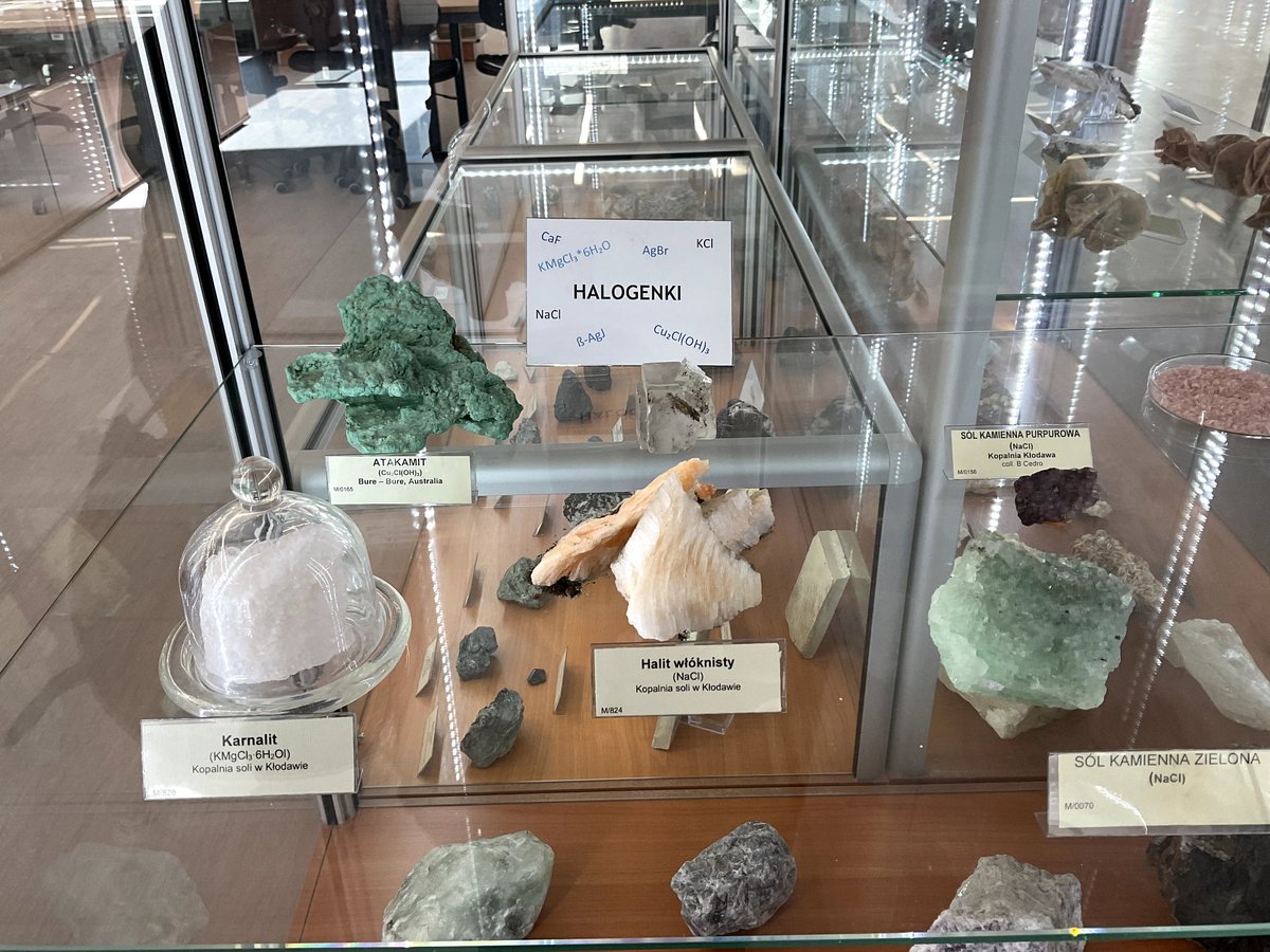 Day 4️⃣ - Green vehicles have been presented to the contest judges. Then, we visited the Institute of Environmental Sciences and the Geological museum #ScienceAcrossEurope <a href="/Erasmus_Project/">Erasmus+ Projects</a> <a href="/proyectocartama/">IES Cartima</a> <a href="/mmarmalea/">M Mar Garcia</a>