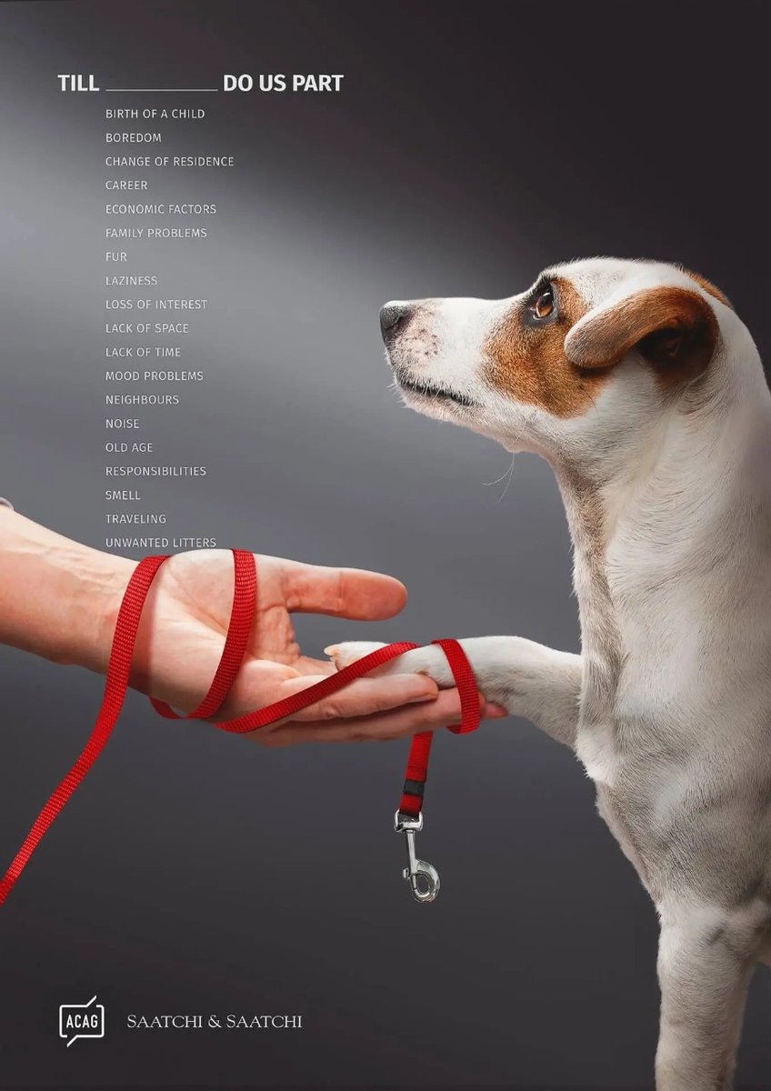 KaabiraSpeaking's tweet photo. One of good examples of great copywriting with smart execution. (Agency: Saatchi & Saatchi)
#copywriting #ads #goodcopy https://t.co/6lnzYwwwdx