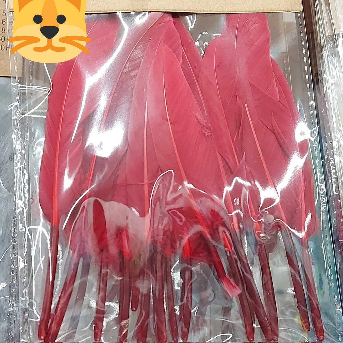 WN //: Did Keigo start selling his feathers?