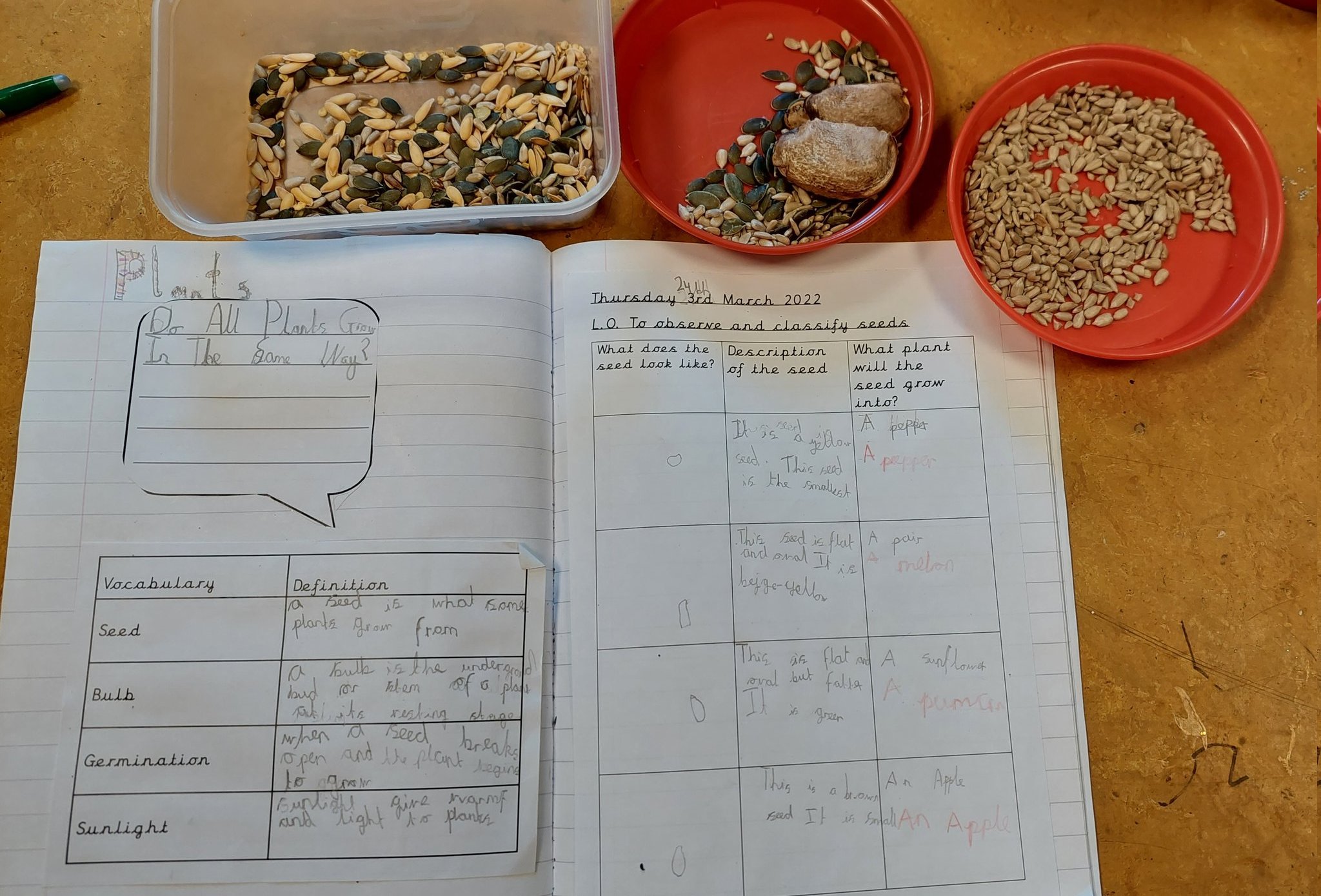 Westbrook Old Hall on Twitter "Y2 have been identifying seeds and