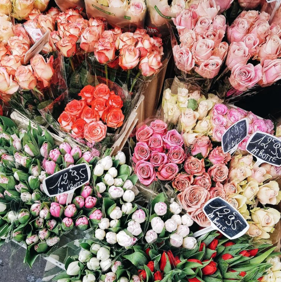 happy #francophilefriday à toutes et à tous! join the global community by tagging your 🇫🇷 French-inspired images #thefrancophiles , merci! instagram.com/explore/tags/t…