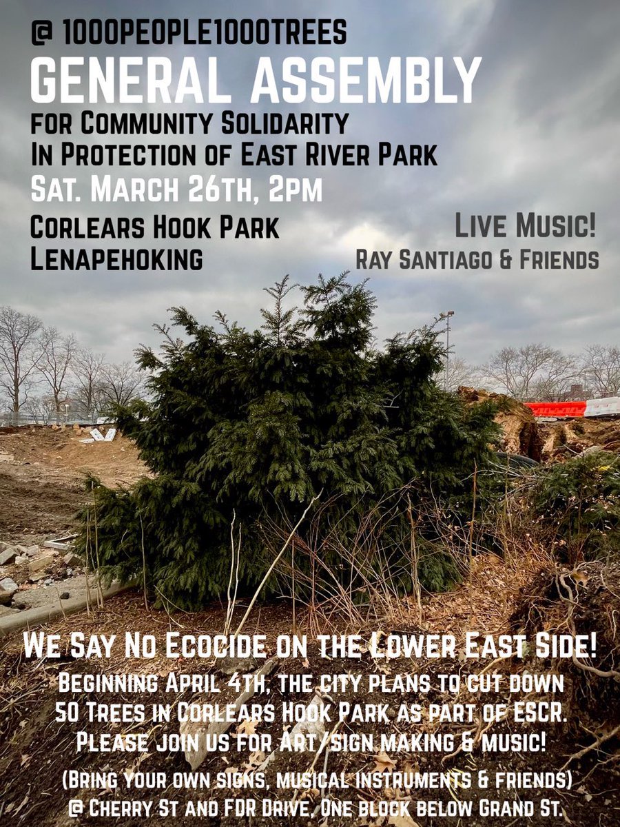 1000treesNYC's tweet photo. @kirstentheodos @ERPAction Still so much left to protect… #WeRefuseESCR https://t.co/eVUi4gX6pK