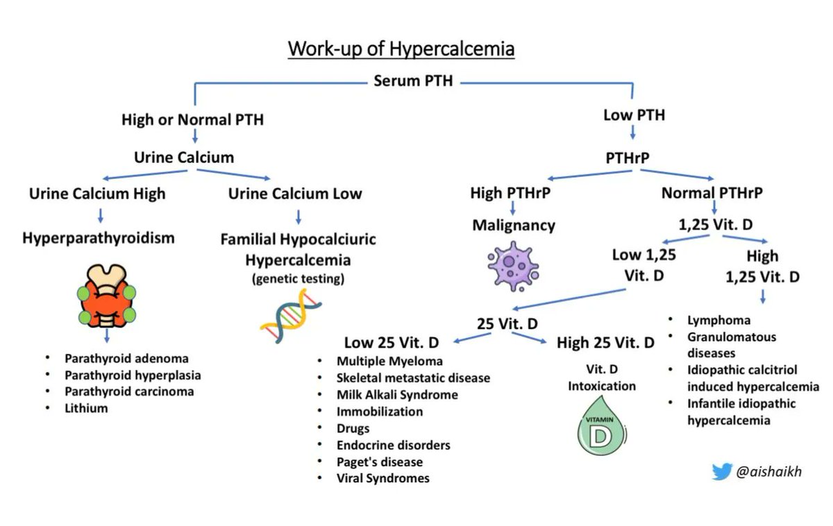Hypercalcemia Workup - Differential Diagnosis Algorithm by Dr. Aisha Shaikh <a href="/aishaikh/">Aisha Shaikh</a> 

grepmed.com/?q=Hypercalcem…

#FOAMed #MedEd #nephpearls