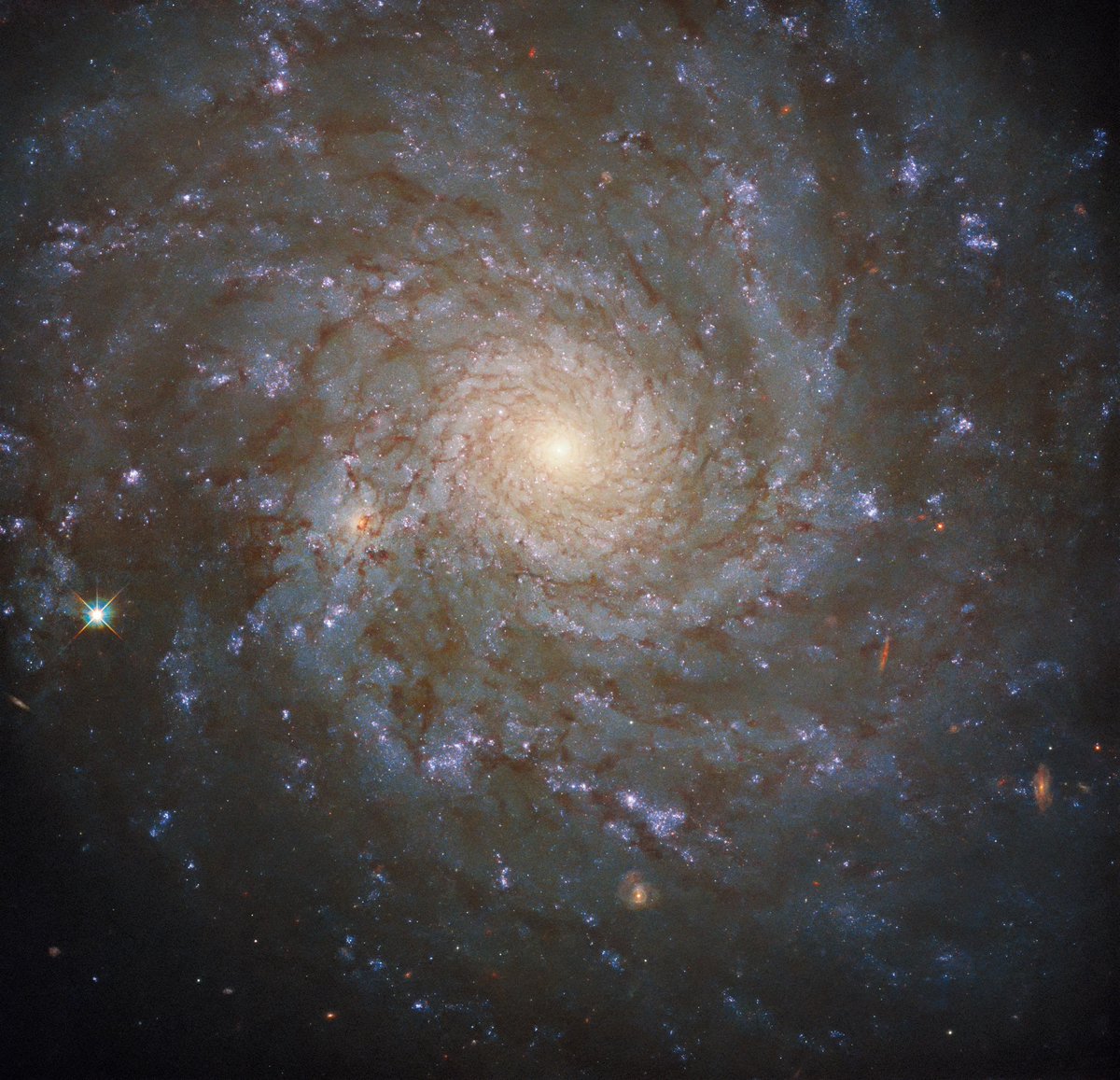 A spiral galaxy