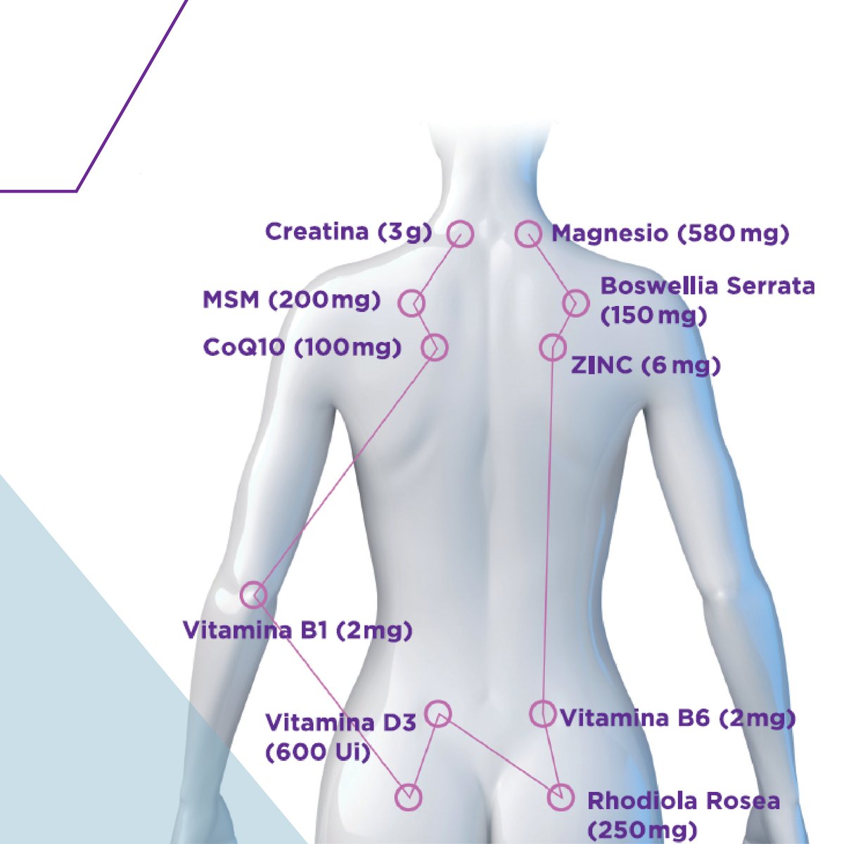 viscobasic's tweet photo. En #Viscobasic contamos con un #Complemento Alimenticio formulado para regenerar energía en forma de ATP, reducir la #fatiga, el cansancio y mejorar sustancialmente el rendimiento #mental 👉 más info en https://t.co/GnOMeU9AwA 
#complementos #medicina #viscobasic #salud #alimento https://t.co/osQHsM8ibQ