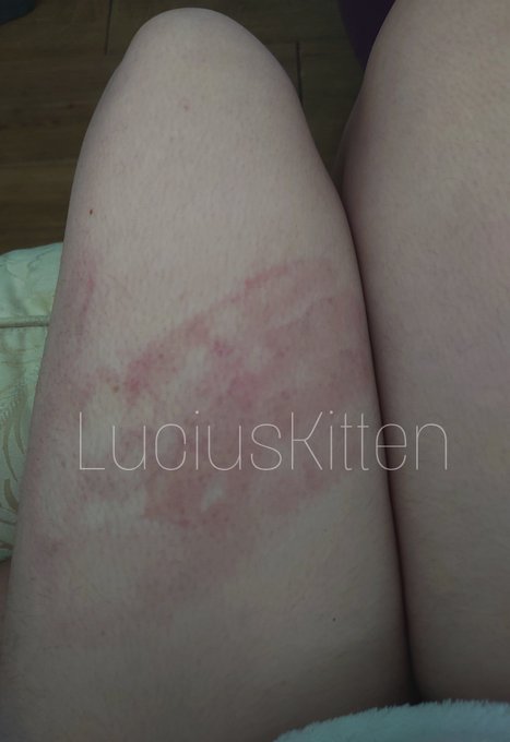 I slapped my Alpha's butt and called them bad 😢 https://t.co/d4OAMTbY99