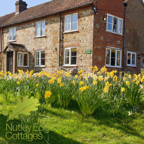 Nutley Edge tweet media