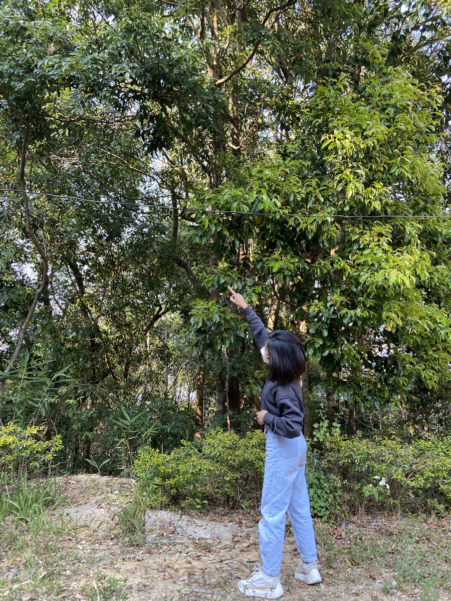 remiraltee's tweet photo. 🍃 https://t.co/VgC6e2TMJs