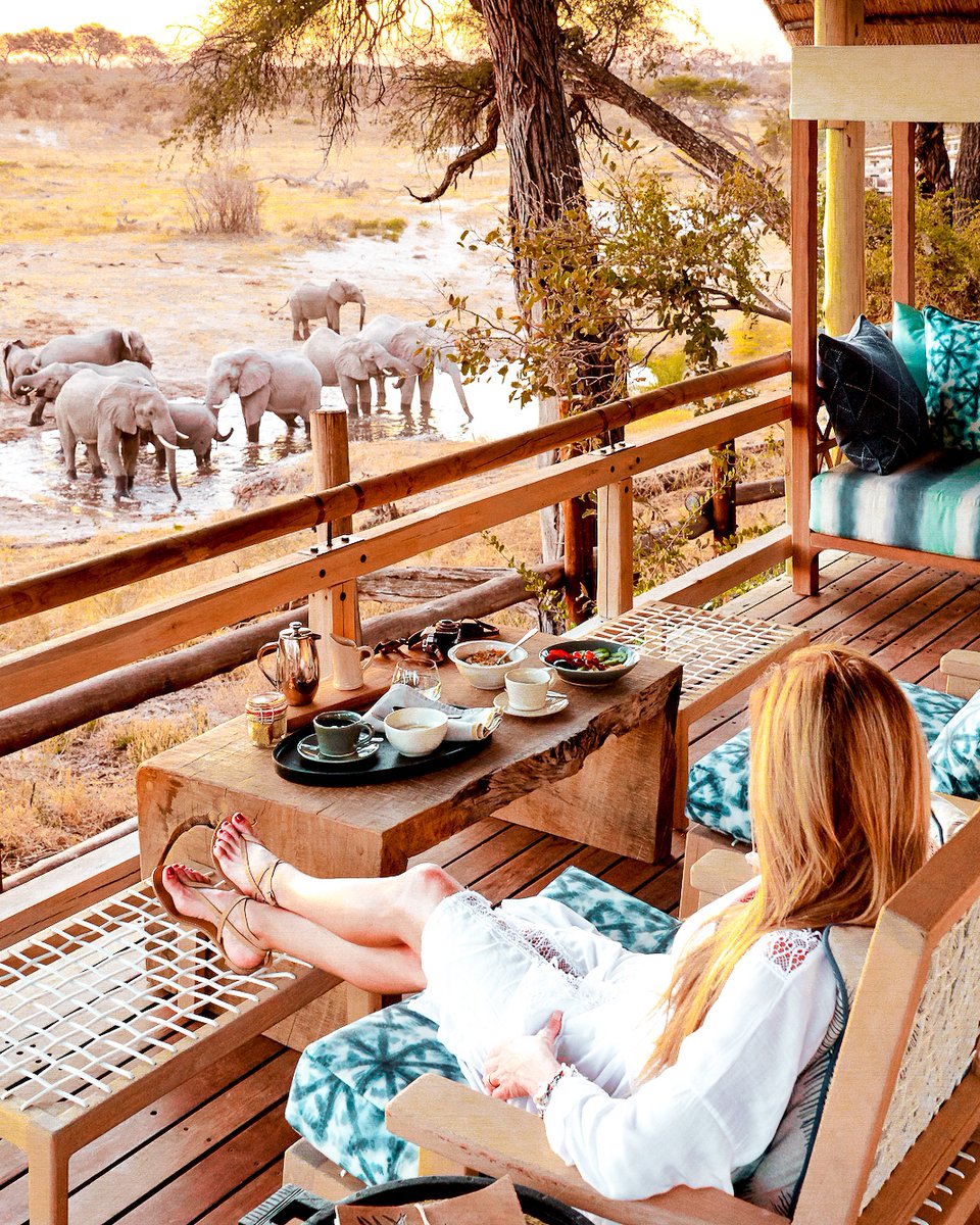 Let’s Africa together with Belmond! Visit bookhuman.travel to live chat with a real human #travel advisor about your #southafrica adventure.