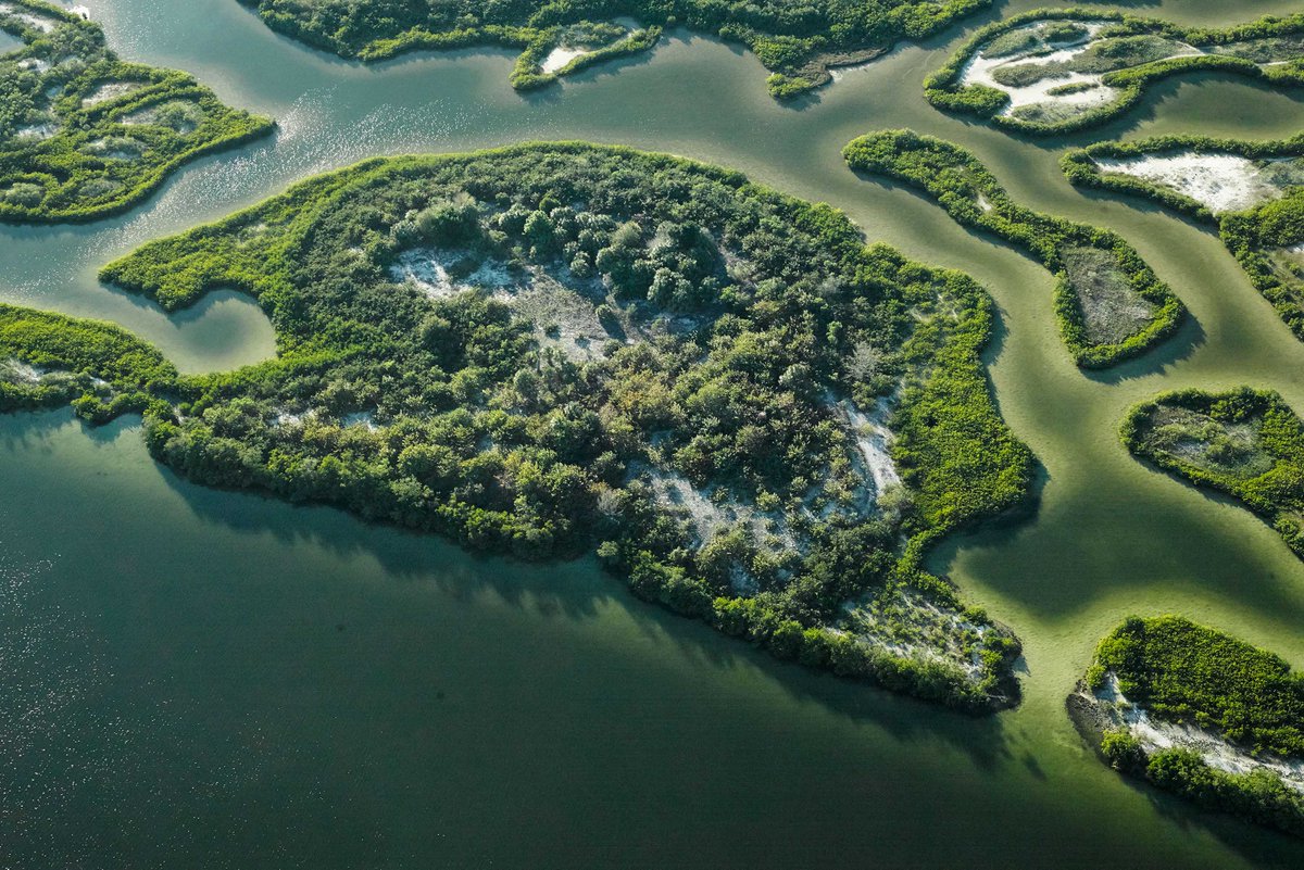 NatCapFinance's tweet photo. The #ENCORE tool was used by @SwissRe Institute to identify the sectors most reliant on #nature &amp; evaluate the exposure countries’ economies have to #biodiversity decline. Discover the study here: https://t.co/yqlqWTN0VE https://t.co/qYgbV0qu0r