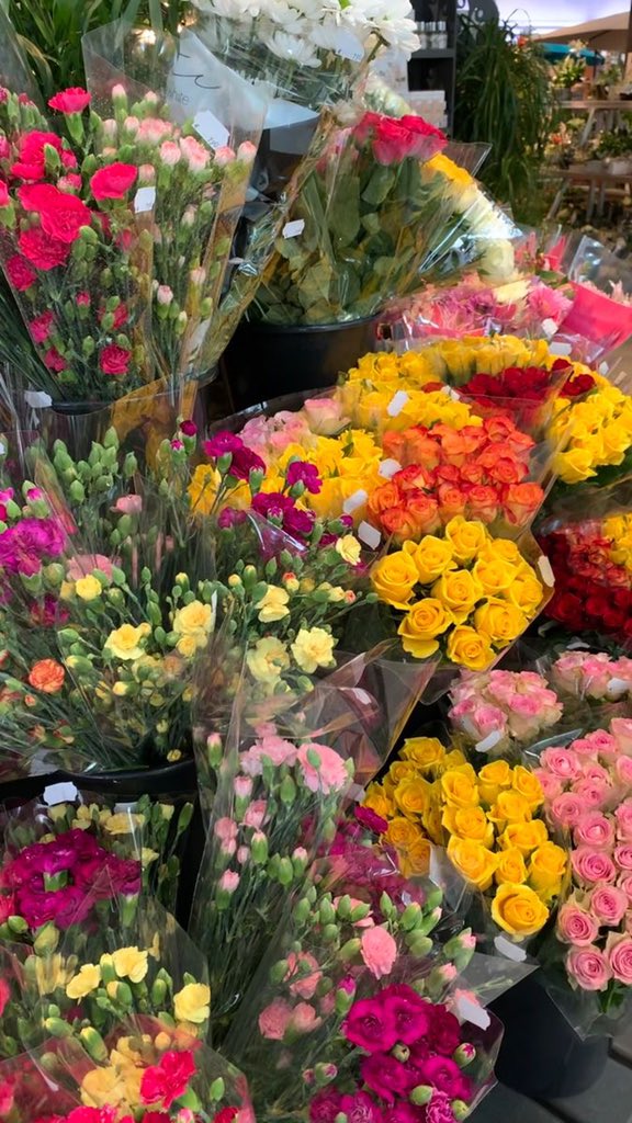 Floraboutique6's tweet photo. MOTHER’S DAY DISCOUNT!!
Enjoy 20% off all rose bouquets to celebrate Mother’s day!🌹

#florist #flowers #flowersofinstagram #roses #bouquet #bouquets #spring #mothersday #mothersdaygift #gift #discount https://t.co/JwgIeYeIXD