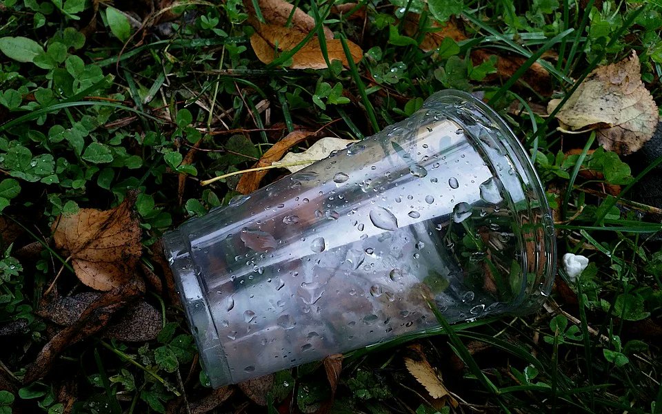 FWeprepark's tweet photo. Join us on Thursday 31st March from 10.30am - 12pm and help litter pick Wepre Park as part of Quay Clean 2022. Meet at the Visitors Centre. Litter picking equipment will be provided but please wear suitable clothing, footwear and gloves. #WeprePark #QuayClean #SpringCleanCymru https://t.co/gAs1ywLlZG