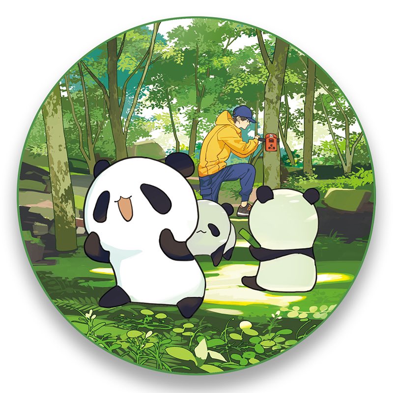「工作上画的一组有关保护野生大熊猫的图 」|坛九のイラスト