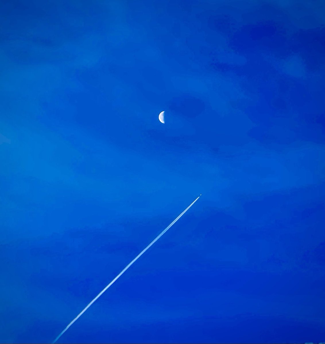 Josemd's tweet image. Celestial objects over #Pasadena