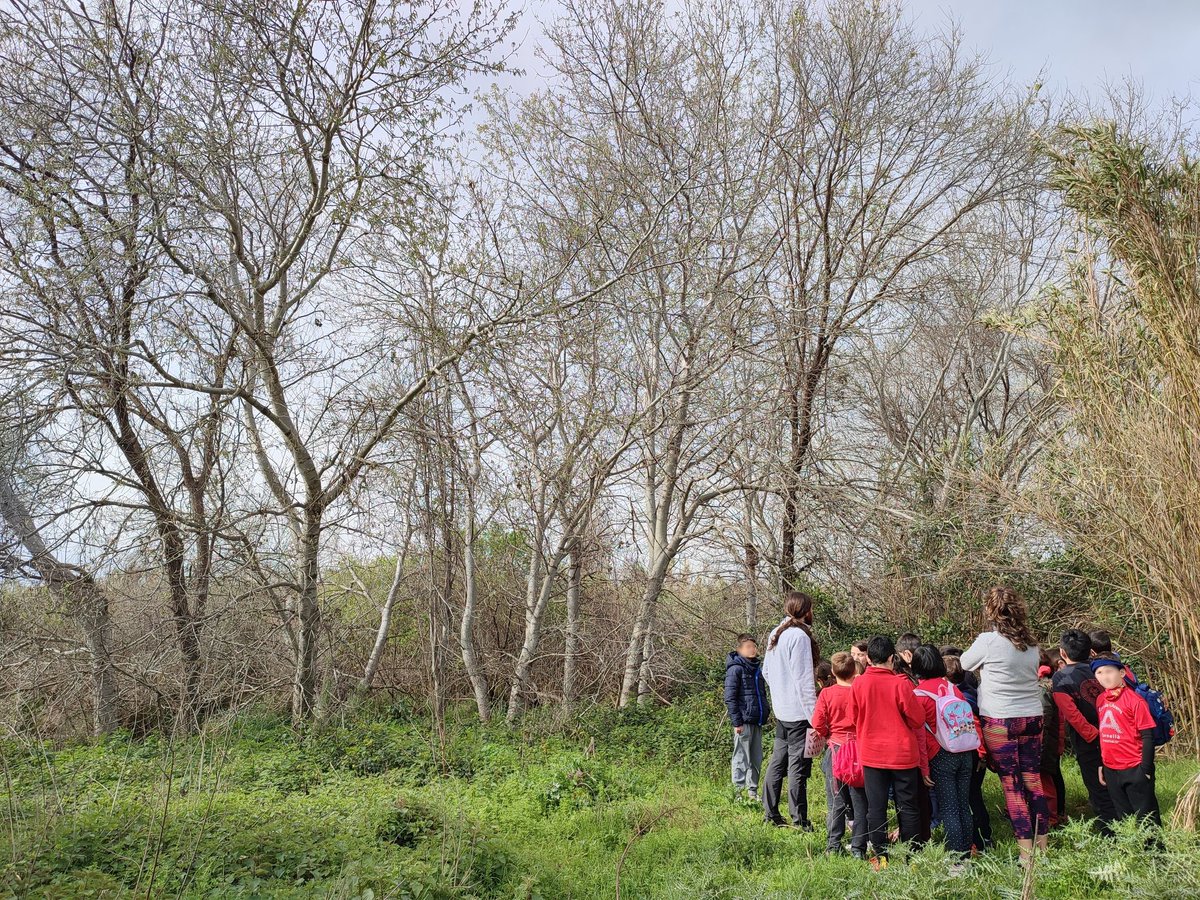 natuscornella's tweet photo. Avui hem participat a la Festa del Riu per les escoles de la Xarxa d'Escoles per la Sostenibilitat de Cornellà #XESCO
Els nens i nenes han descobert la biodiversitat del riu alhora que han col·laborat en la seva millora plantant flora autòctona! 💪
#DiaMundialdelAigua https://t.co/aowtq2jNl3