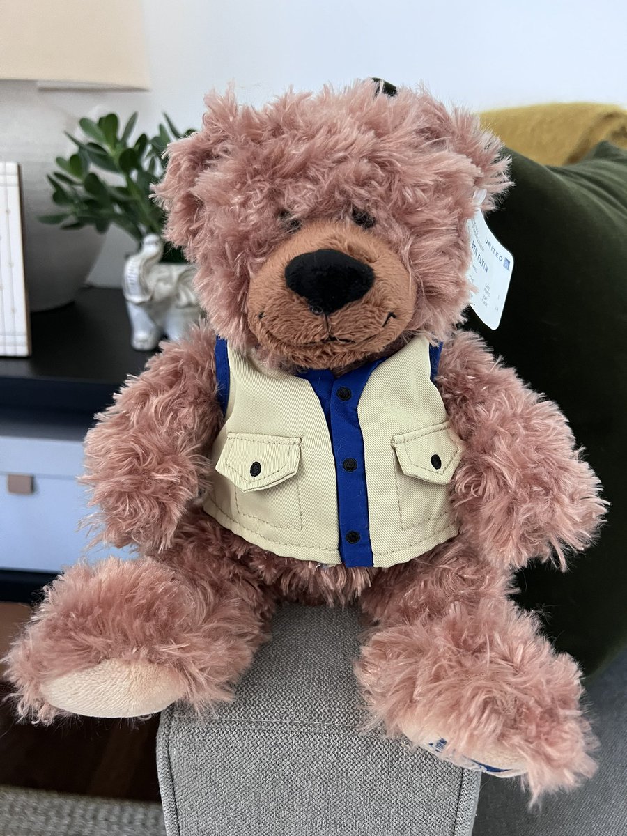 samstein's tweet photo. Well, @united could not find my kid's "monkey" stuffy but they were incredibly kind to send him a replacement and I'm deeply grateful for it. Thank you! That's above and beyond. https://t.co/he1gFWZ109