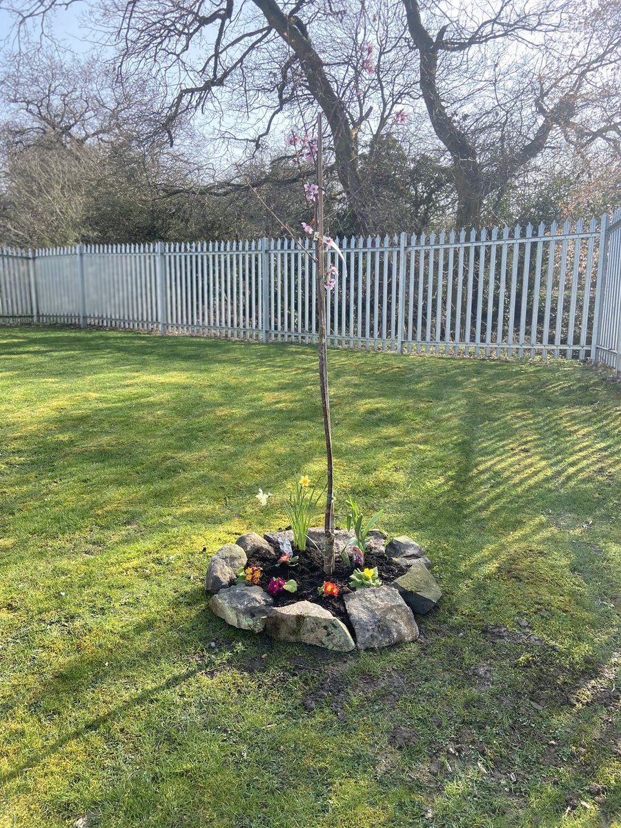 MealeyProjects's tweet image. Thank you Trevor for coming and making our garden look so pretty! We look forward to spending time out there 🌺🌸🌳