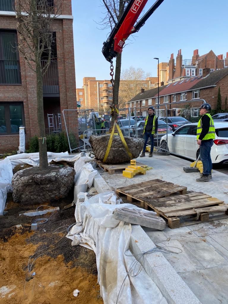 Kings Landscapes tweet media