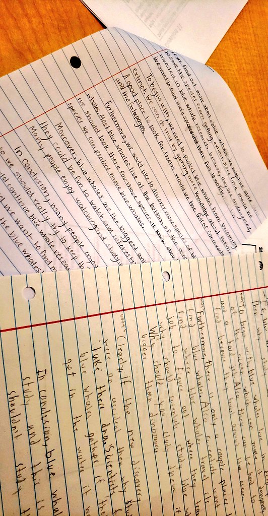 LindseyC83's tweet photo. My 5th graders are working hard practicing for the state test coming up in a few weeks! #sullivanscholars #cestogether #circlevilletigers https://t.co/E6yC6FdqEe