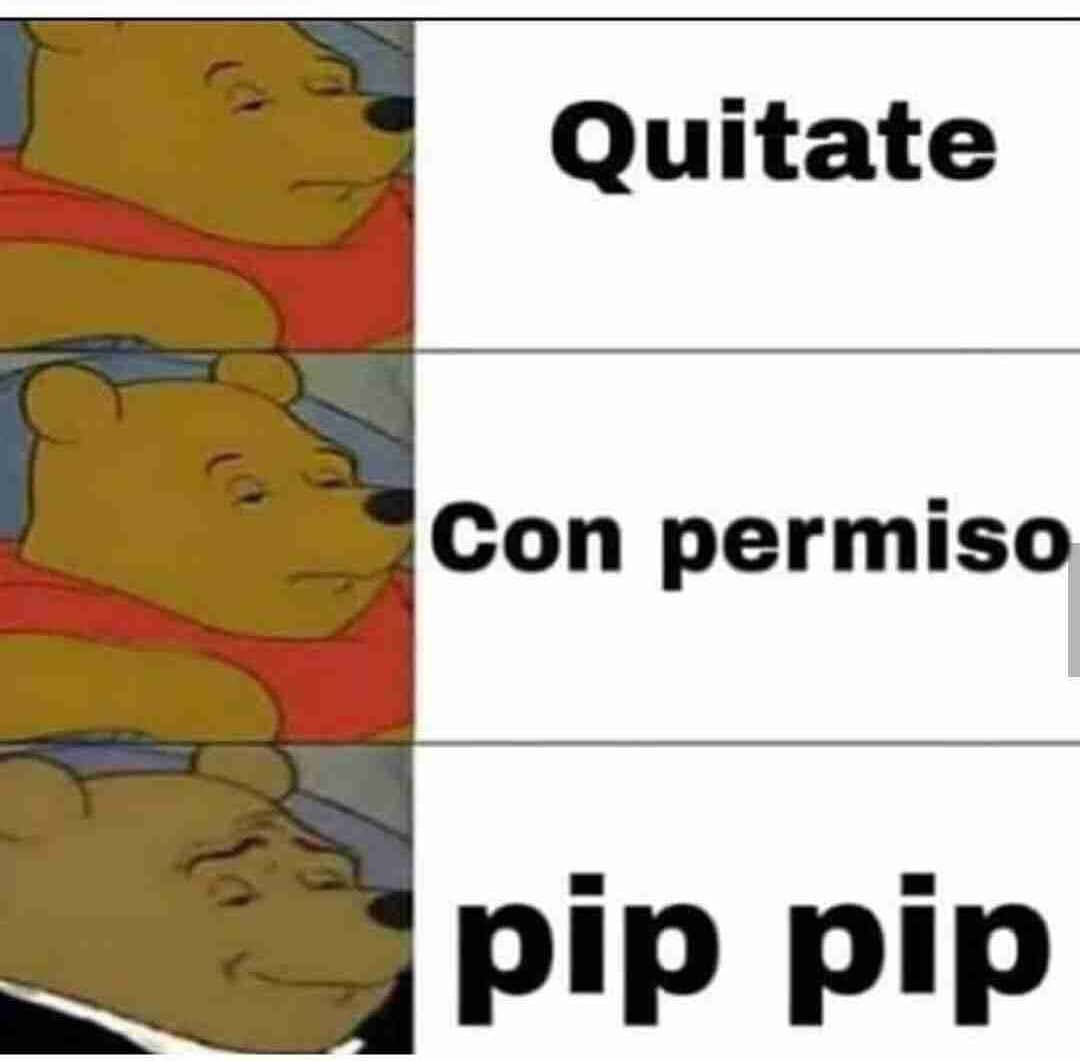 sofihrod's tweet photo. hoy en vez de pedir permiso dije “pip pip”. Cuando me lo puse a pensar me tenté porque me recordó a esto https://t.co/PrF4v0zLsM