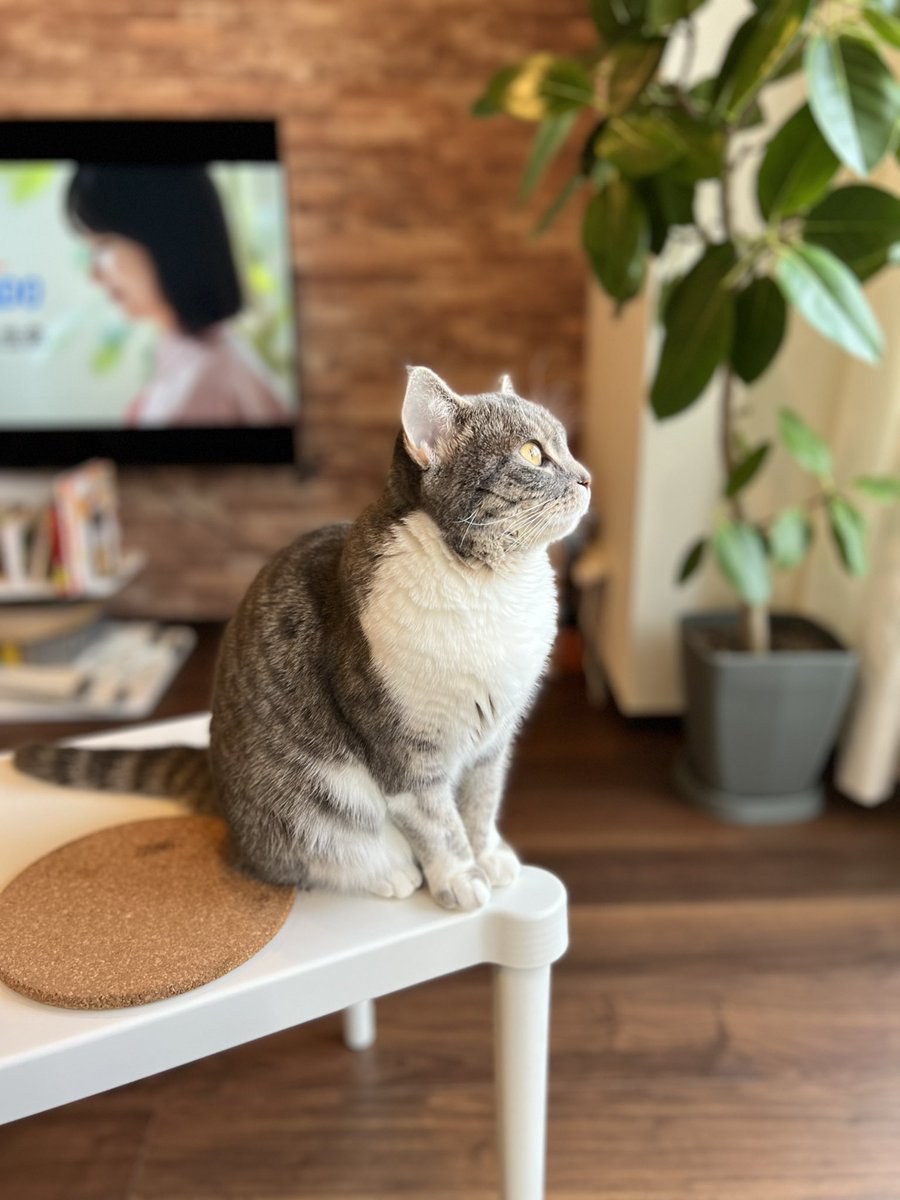 mgclcat's tweet photo. 今日も楽しかったおやすみなさい🌙💤 https://t.co/yT2Row7eOF