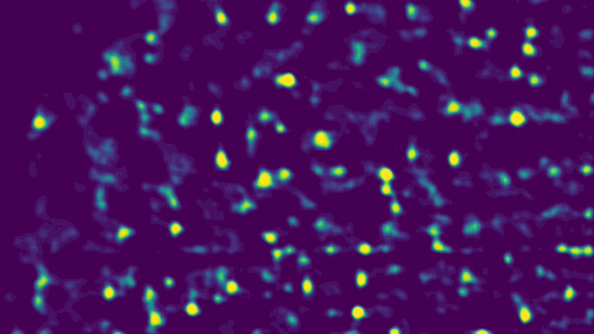 Javier Perez-Ramirez (@catalysis_eth) on Twitter photo Excited to share our paper in <a href="/J_A_C_S/">J. Am. Chem. Soc.</a> using AI to detect and analyze atoms in single-atom catalysts by transmission electron microscopy. Our SAC-CNN now does the counting for you! Great collaboration <a href="/NCCR_Catalysis/">NCCR Catalysis</a> 👇
pubs.acs.org/doi/10.1021/ja… Excited to share our paper in <a href="/J_A_C_S/">J. Am. Chem. Soc.</a> using AI to detect and analyze atoms in single-atom catalysts by transmission electron microscopy. Our SAC-CNN now does the counting for you! Great collaboration <a href="/NCCR_Catalysis/">NCCR Catalysis</a> 👇
pubs.acs.org/doi/10.1021/ja…