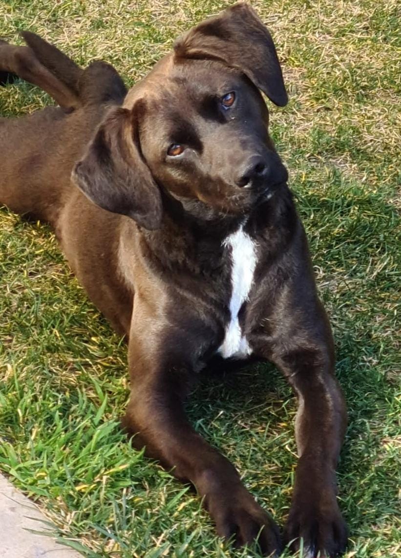 Animalufos tweet media