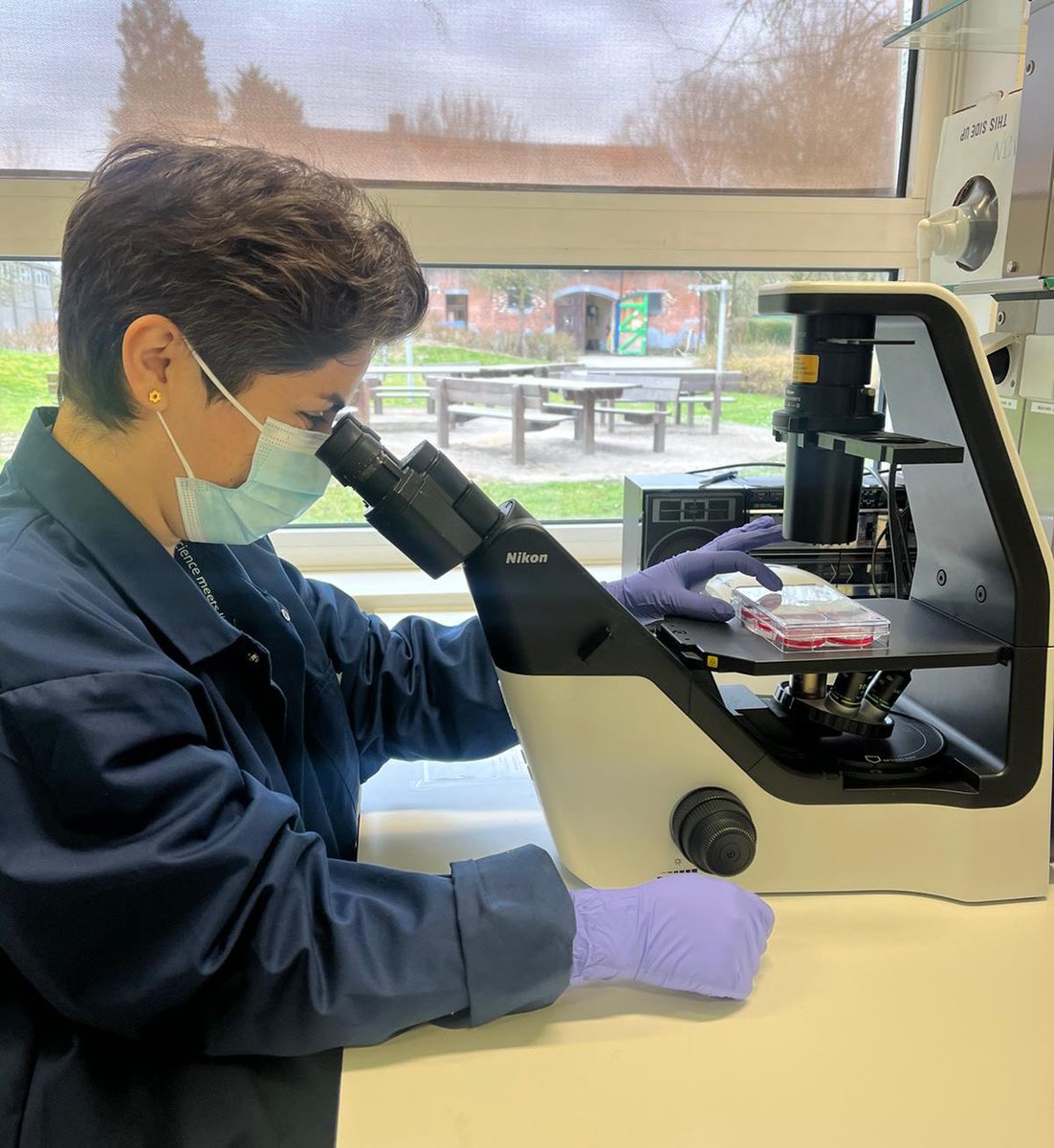 Welcome to Dr. <a href="/KhanghahiAM/">Akram M Khanghahi</a>! Her expertise on iPSCs will help deciphering disease mechanism of CMT  🧫🔬<a href="/CMN_VIB/">VIB Center for Molecular Neurology</a> <a href="/VIBpostdocs/">VIB PostDocs</a> #WomenInSTEM