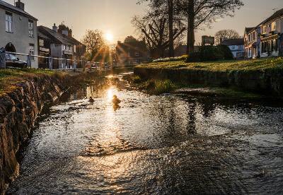 mikespencerpics's tweet photo. Cosby Brook and inevitable Ducks at sunrise this morning
@visitblaby 
@BBCWthrWatchers 
#sunrise 
#leicestershire 
#blabydistrict https://t.co/Xfv8jcTd9P