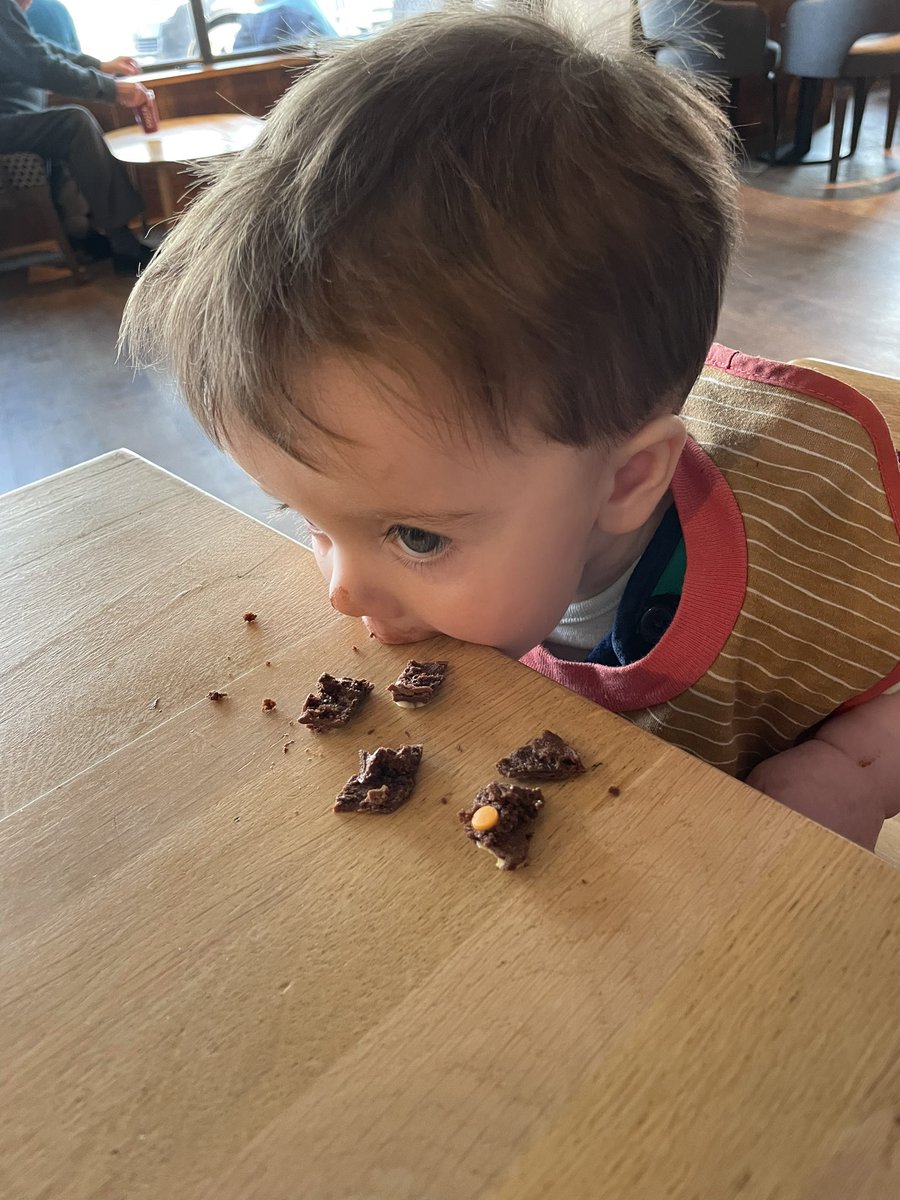 BellaCope's tweet photo. It’s Friday 🎉 so here’s some cute photos of Denny. Yesterday he tried a mini caterpillar cake, he loved it so much he ate it straight off the table. There were a few misses where he just ate the table instead😂 https://t.co/FUDDw0ZZKH