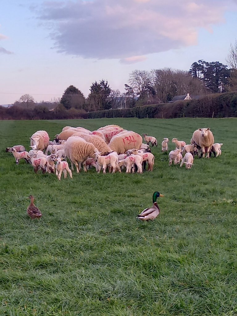 All creatures great and small today 🤣 thanks to Stephen for the picture