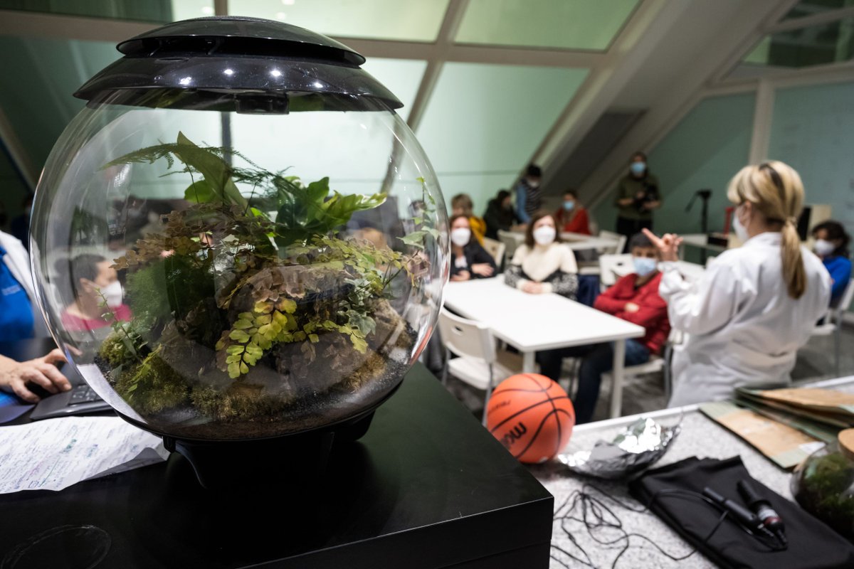 CACiencies's tweet photo. Este fin de semana estrenamos el taller de @CienciaaEscena #SOSPlanetaCAC dedicado al medio ambiente y al desarrollo sostenible

¿Vienes a conocer los nuevos experimentos en directo?

👉https://t.co/vNT01Ulaqj https://t.co/XokblAEwlC