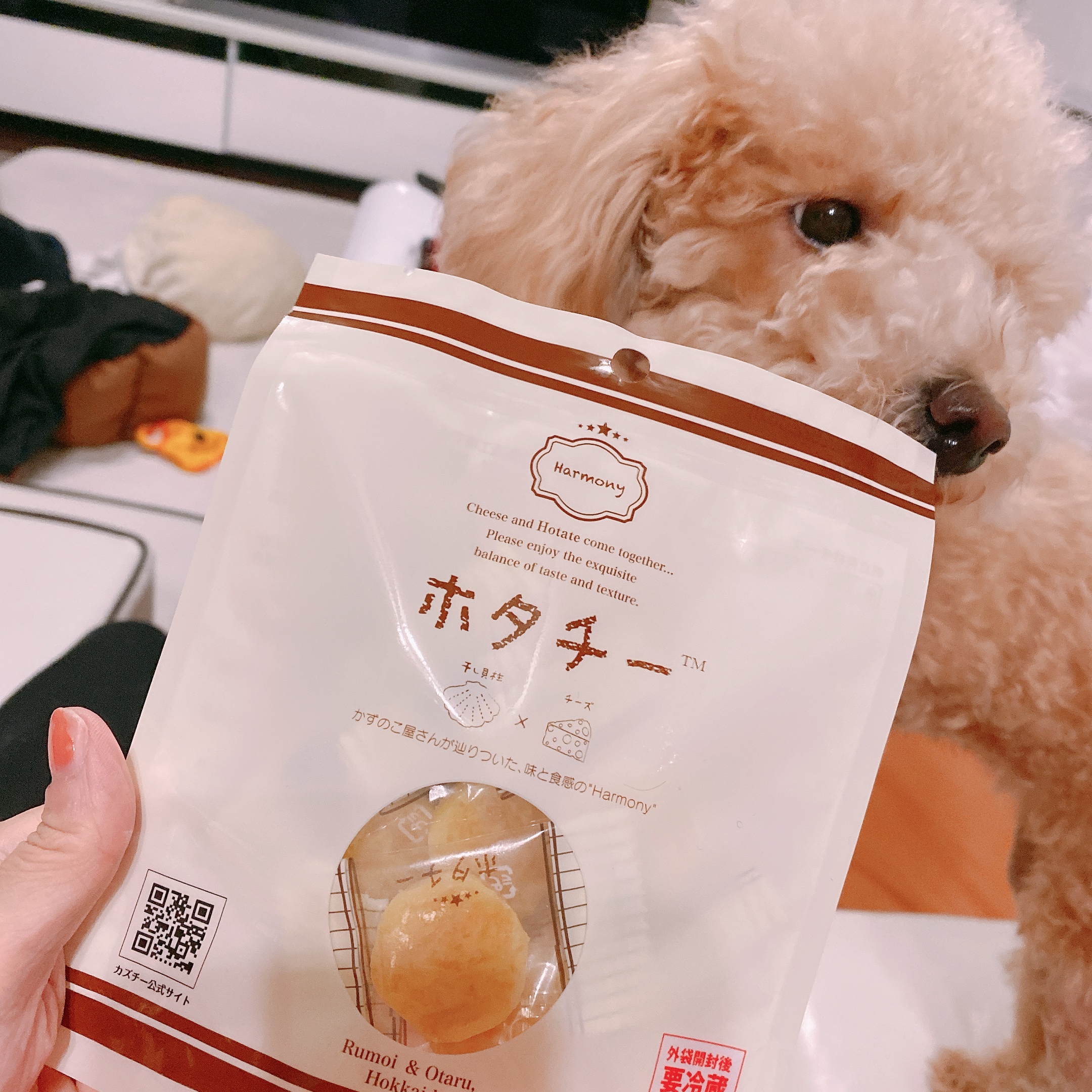 商品 古川未鈴と古畑奈和のいにしえ乙女酒 一坏（ひとつき）〜八坏（や